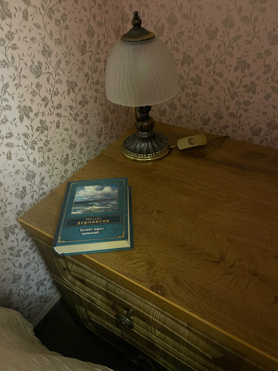 Гостиница Лермонтов Омск-212