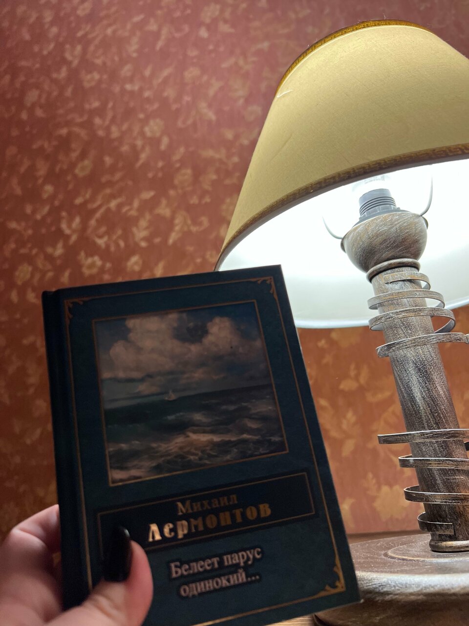 Гостиница Лермонтов Омск-172