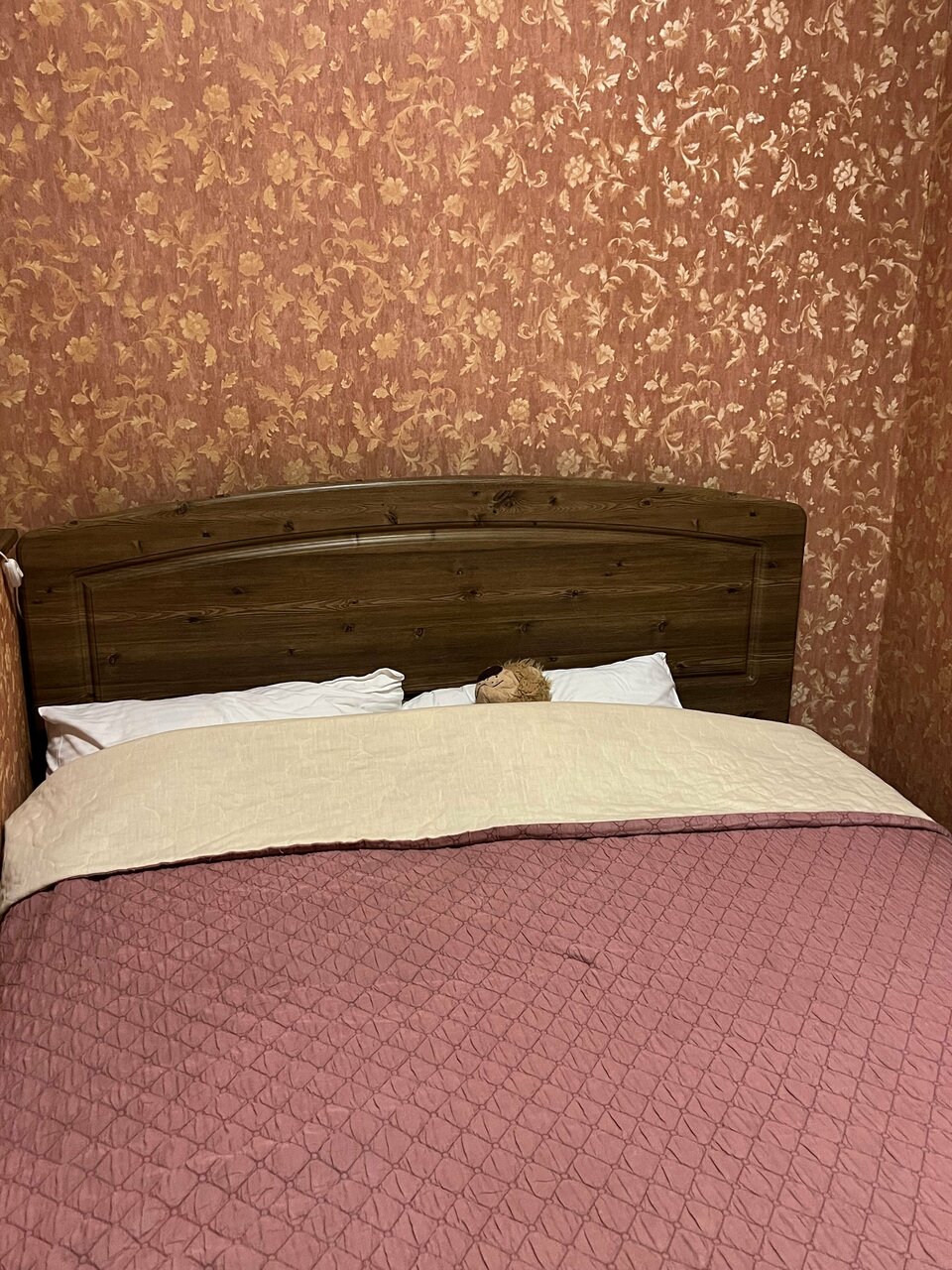 Гостиница Лермонтов Омск-174