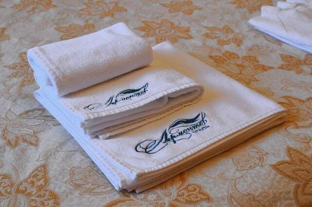 Гостиница Лермонтов Омск-20