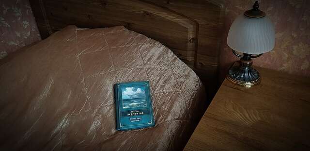 Гостиница Лермонтов Омск-186