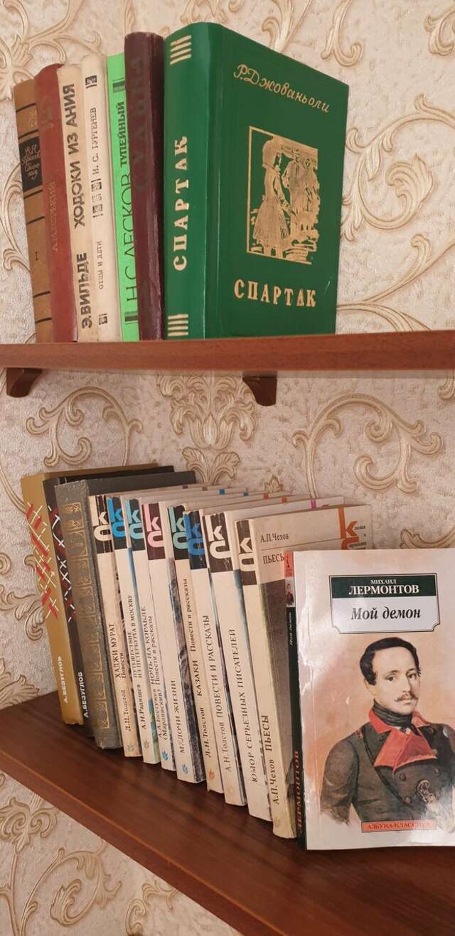 Гостиница Лермонтов Омск-167