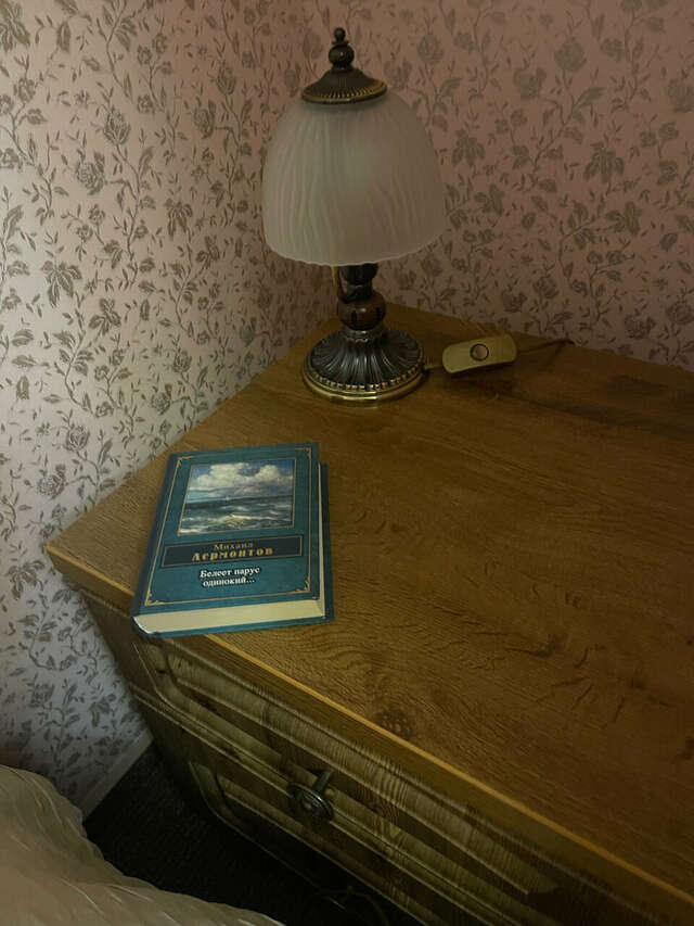 Гостиница Лермонтов Омск-211